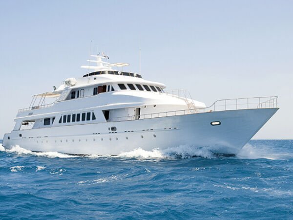 Bostik Simson MSR CA SSKF Beyaz 600 ml Marin Uygulamalar İçin Kalıcı Elastik Yapıştırıcı ve Mastik