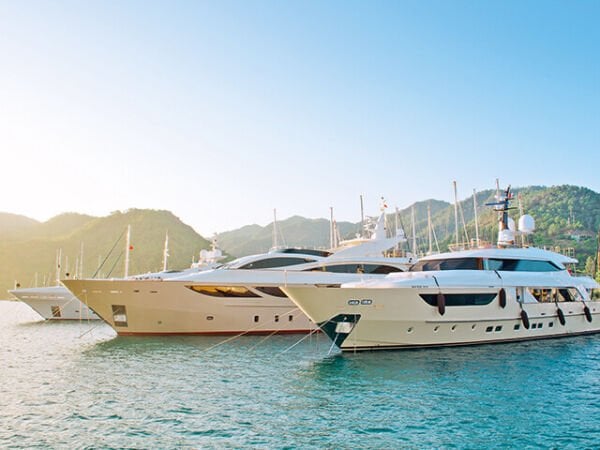 Bostik Transperene 113 M Şişme Bot Tamir Kiti  (Hypalon-Neopren botlar için) 750 ml